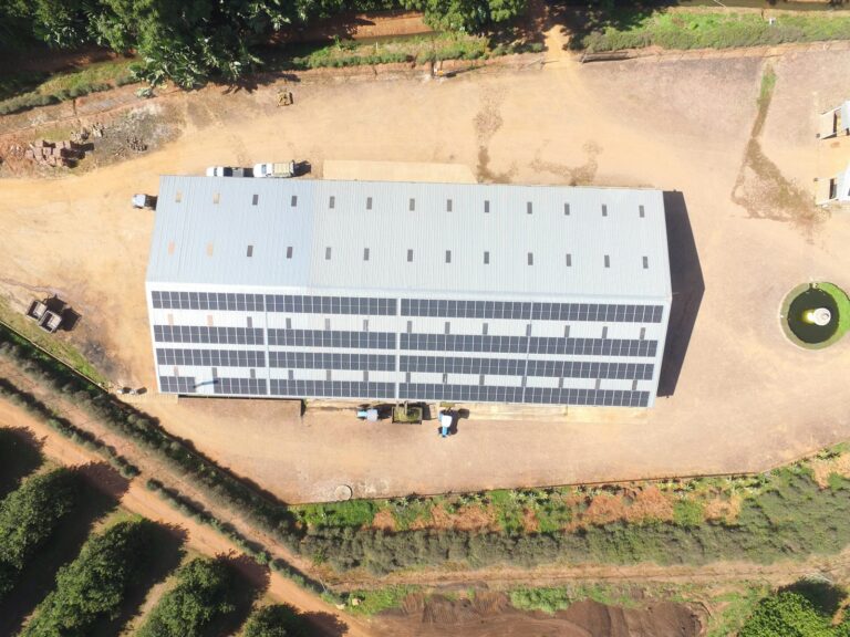 Bâtiment d'entreprise équipé de panneaux solaires